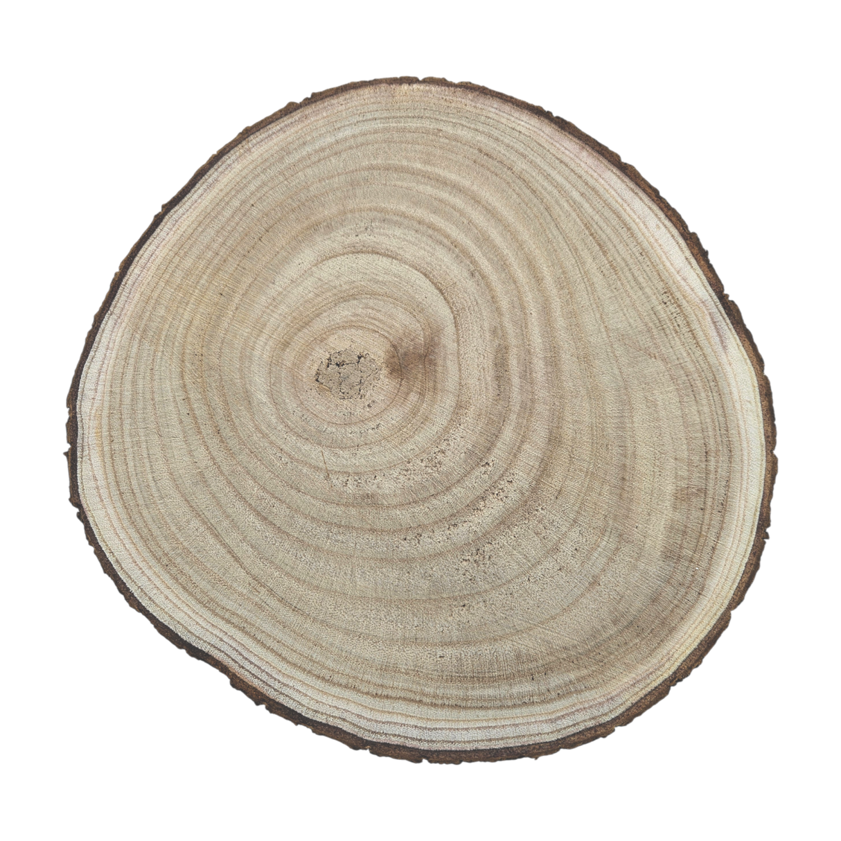 Baumscheibe auf Füßen Kerzentablett natur Baumrinde rund 20-26 cm Pflanzenständer - Dekoteller