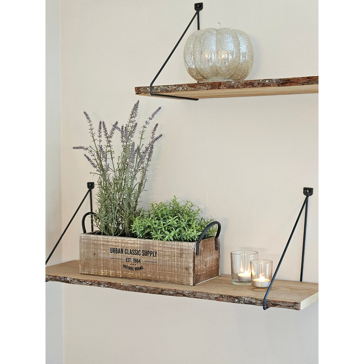 Holzkiste braun Dekokiste shabby Kiste Obstkiste Holz Deko Landhaus mit Griffen - Holzkiste mit Griff