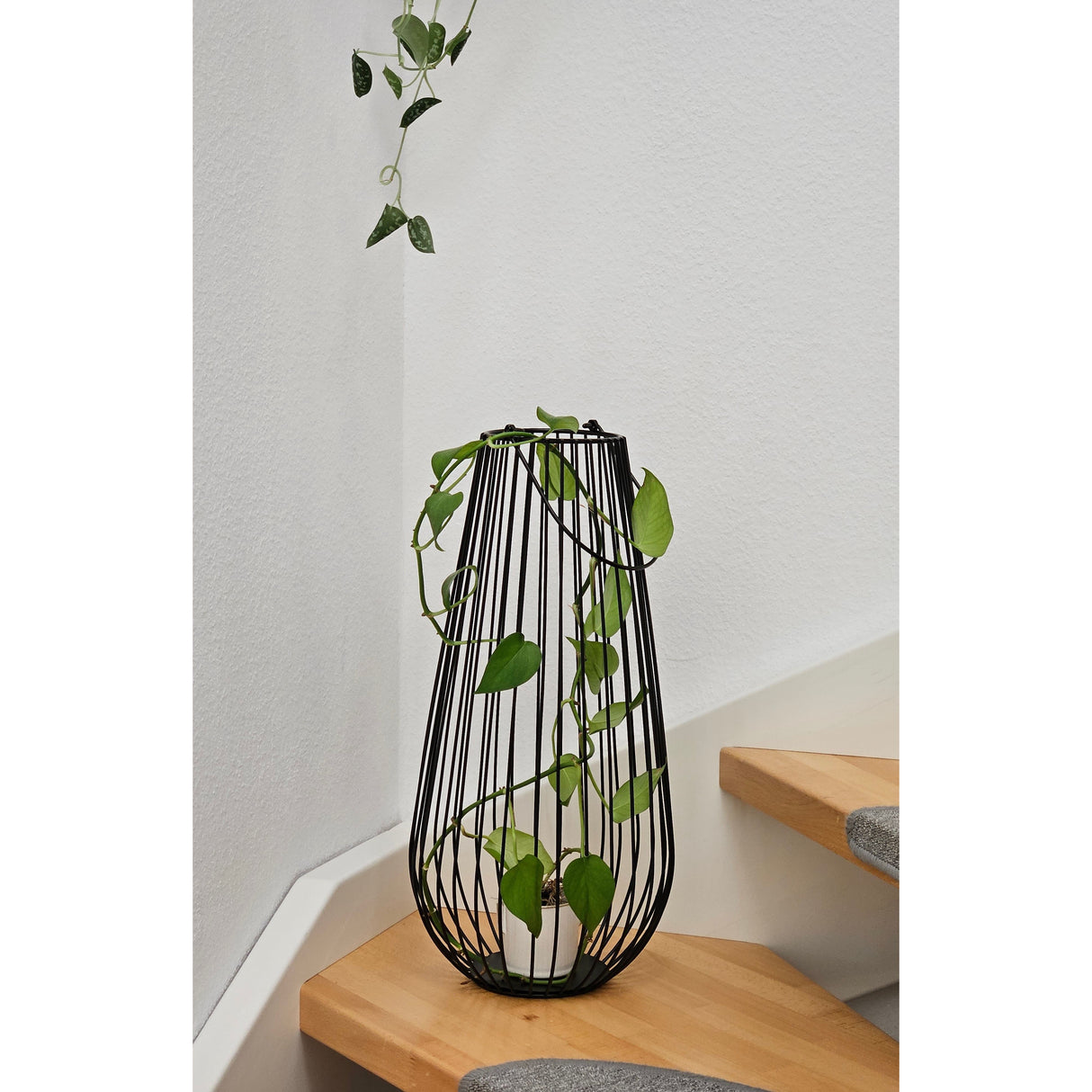 Laterne Windlicht Metalllaterne 25x50 cm Windlicht Kerzenhalter Gartenlampe schwarz - Laterne Windlicht