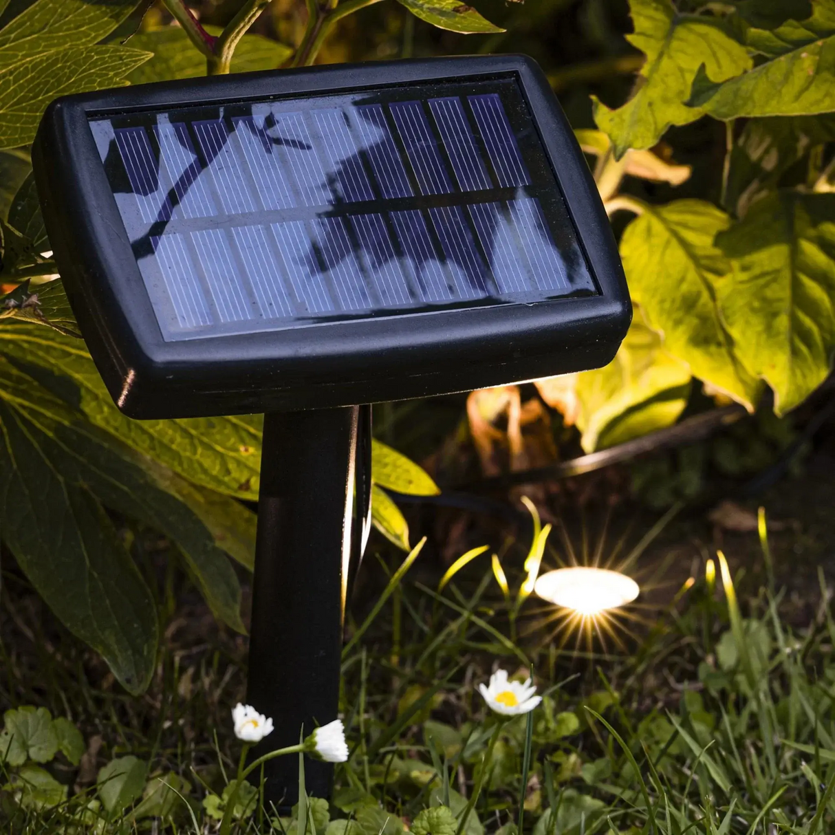 Solarlampen Solarleuchten Gartenbeleuchtung Pflanzenstrahler Balkon Kübel Garten 10x LED - Pflanzenstrahler