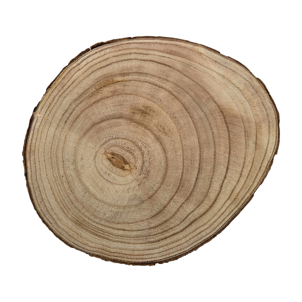 Baumscheibe rund Dekoscheibe Basteln Dekoteller auf Füßen Holzscheibe mit Rinde 17-22 cm