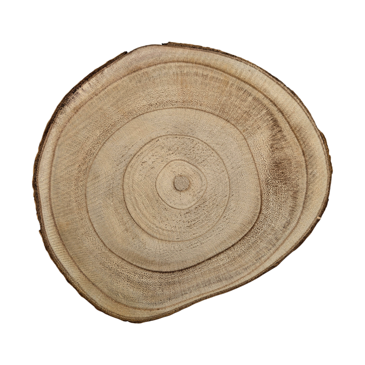 Baumscheibe rund Dekoscheibe Basteln Dekoteller auf Füßen Holzscheibe mit Rinde 17-22 cm