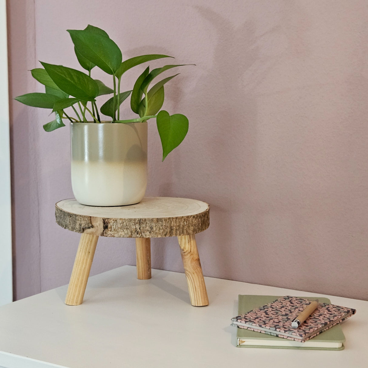 Pflanztopf Übertopf Blumentopf 3er Set Metalltopf creme beige rund Pflanzenübertopf