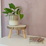 Pflanztopf Übertopf Blumentopf 3er Set Metalltopf creme beige rund Pflanzenübertopf