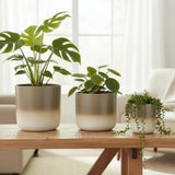 Pflanztopf Übertopf Blumentopf 3er Set Metalltopf creme beige rund Pflanzenübertopf