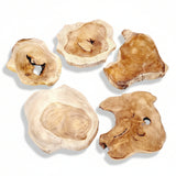 Baumscheibe Teak Scheibe Holzscheibe Untersetzer Holz Massiv 16-20 cm Rustikal Tablett