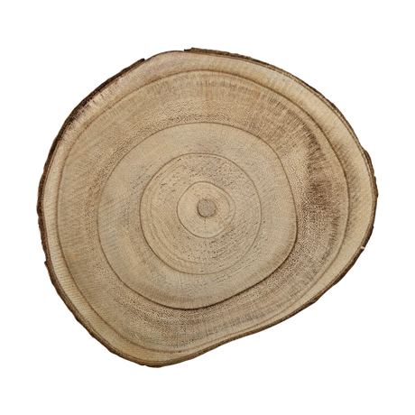 Baumscheibe rund Dekoscheibe Basteln Dekoteller auf Füßen Holzscheibe mit Rinde 17-22 cm - Baumscheibe