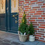 Gartenstecker Stern LED Weihnachtsbeleuchtung batterie Timer warmweiß 50x98 cm - Gartenstecker Stern