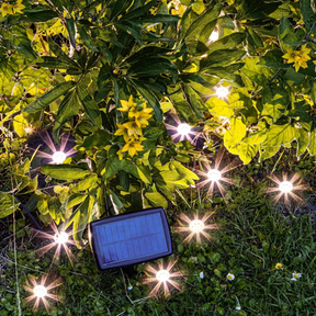 Solarlampen Solarleuchten Gartenbeleuchtung Pflanzenstrahler Balkon Kübel Garten 10x LED - Pflanzenstrahler
